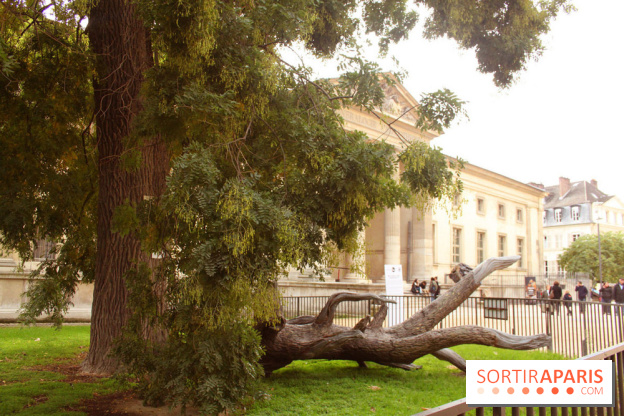 FIAC 2015, le hors-les-murs au Jardin des Plantes