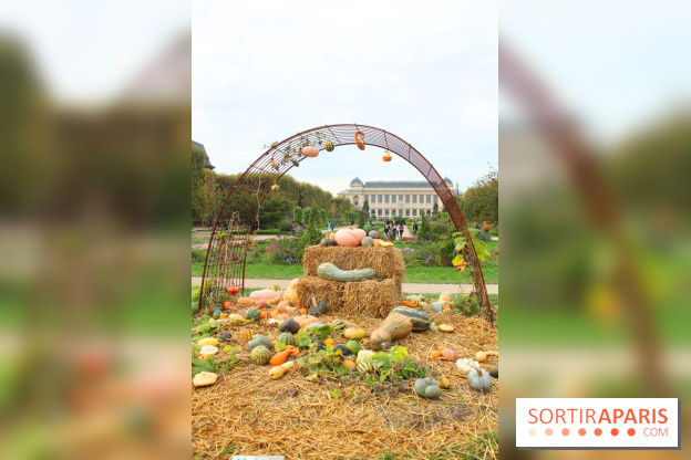 FIAC 2015, le hors-les-murs au Jardin des Plantes