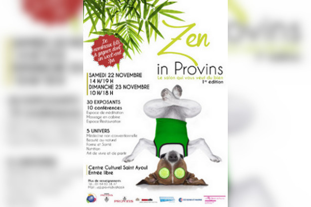 Zen In Provins 2014, le salon qui vous veut du bien
