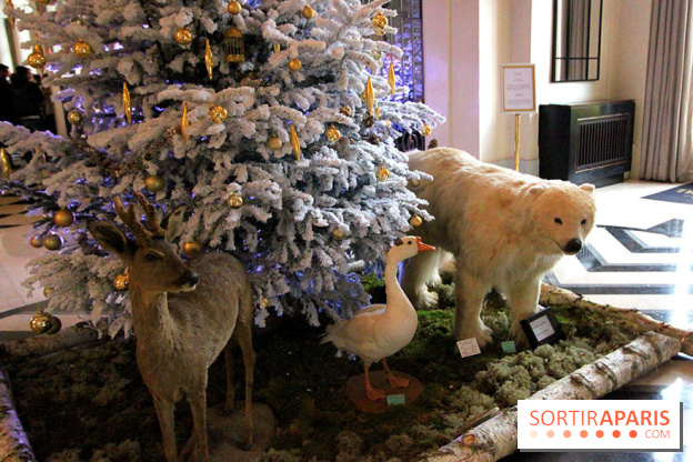 Noël au Trianon palace avec Deyrolle