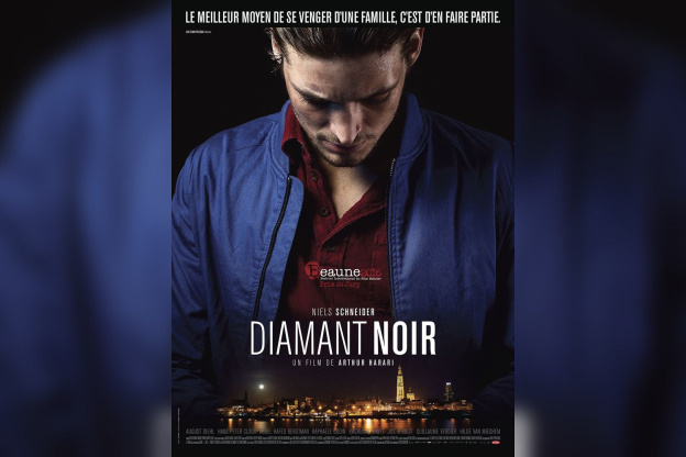 Diamant noir : une pépite avec Niels Schneider