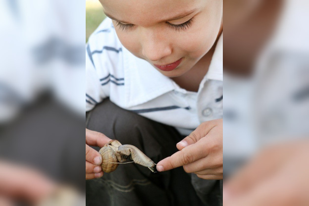 Découverts de la biodiversité au Parc Georges Brassens à Massy