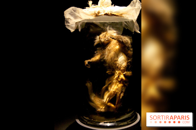 Persona, l'exposition terrifiante au Musée du Quai Branly