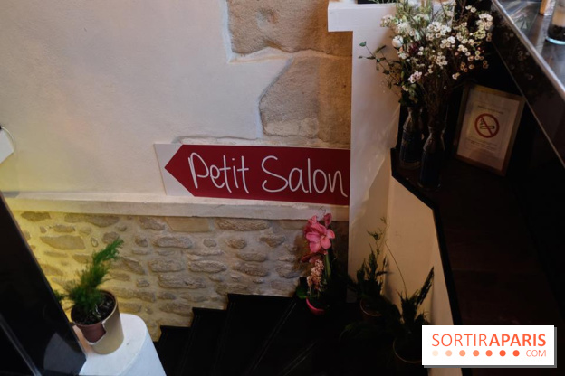 LSD : Les Souris Dansent