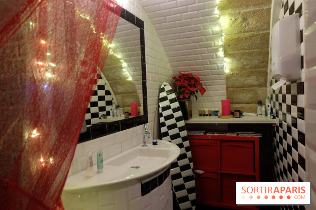 LSD : Les Souris Dansent