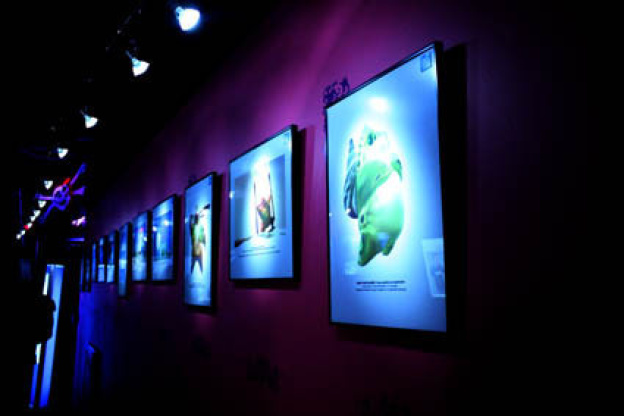 Plankton Invasion à l'Aquarium de Paris