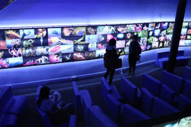 Plankton Invasion à l'Aquarium de Paris