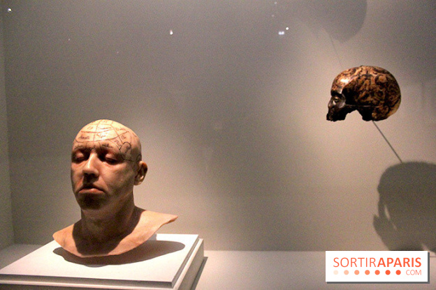 Carambolages au Grand Palais