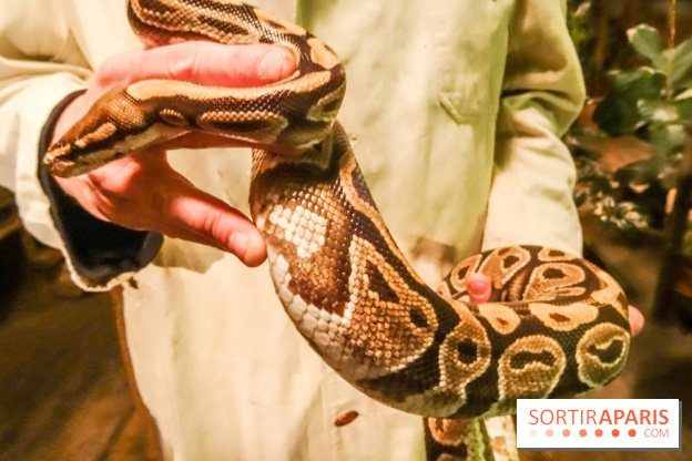 Comptoir General "Le Bon Voyage"