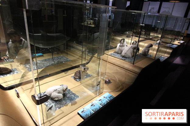 Exposition BéBés animaux à la Cité des Sciences, les photos