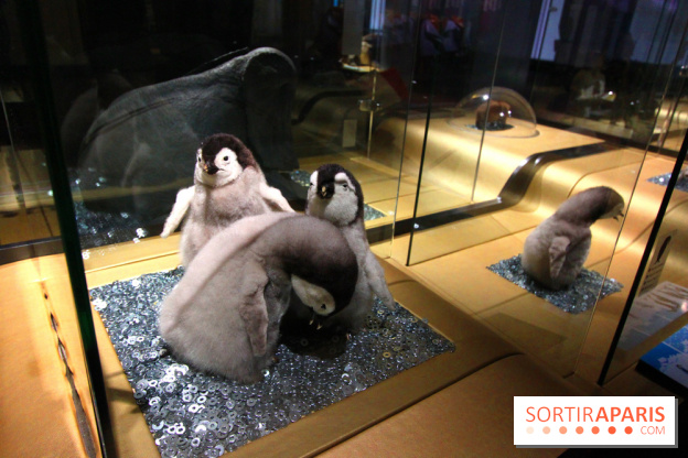 Exposition BéBés animaux à la Cité des Sciences, les photos