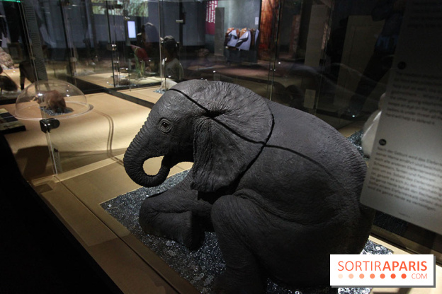 Exposition BéBés animaux à la Cité des Sciences, les photos