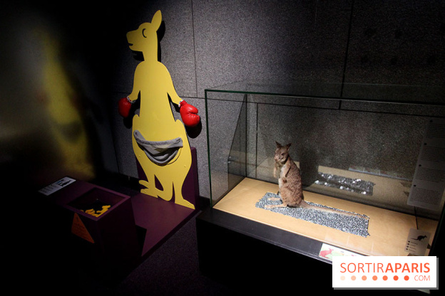 Exposition BéBés animaux à la Cité des Sciences, les photos