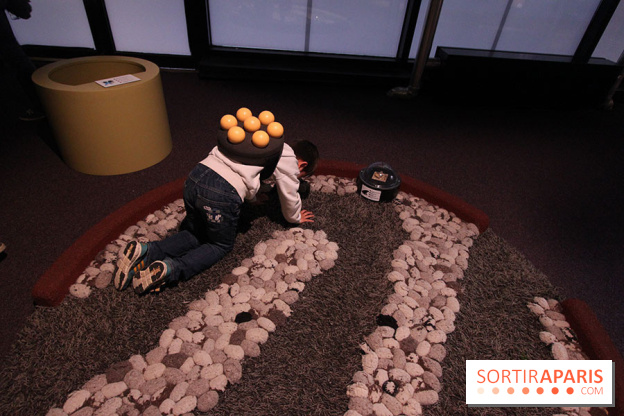 Exposition BéBés animaux à la Cité des Sciences, les photos