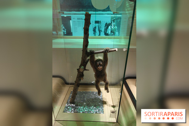 Exposition BéBés animaux à la Cité des Sciences, les photos
