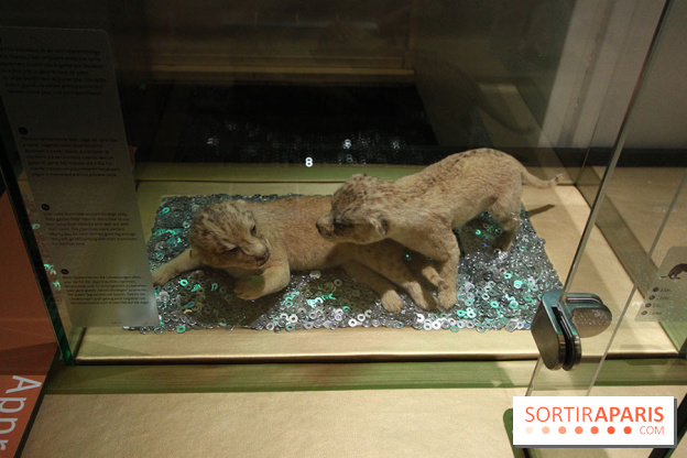 Exposition BéBés animaux à la Cité des Sciences, les photos