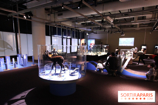 Exposition BéBés animaux à la Cité des Sciences, les photos