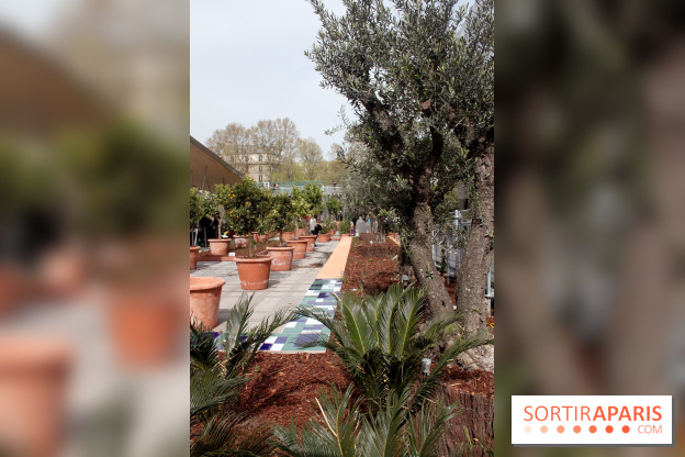 Jardin d'Orient à l'Institut du Monde Arabe