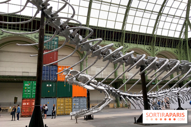 Monumenta 2016 au Grand Palais