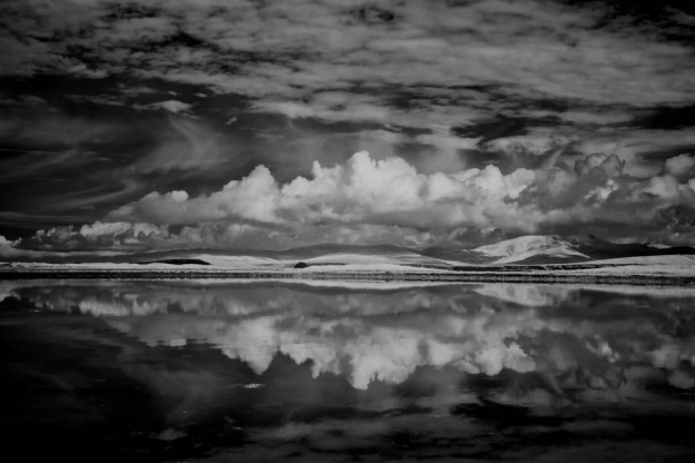 Rencontre avec Gabriel Rosenstock