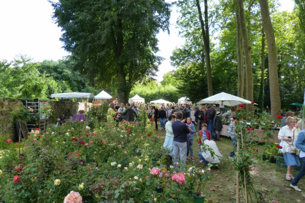 Fleurs en Seine 2016 : les plantes font salon aux Mureaux