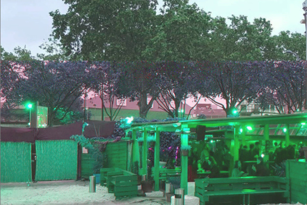 Vide-dressing Violette Sauvage à la Plage du Glazart