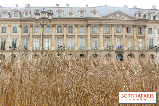 Gad Weil installe son Champ de Blés Place Vendôme