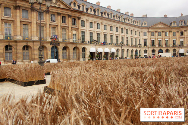 Gad Weil installe son Champ de Blés Place Vendôme