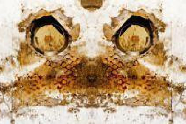 Matières et Sentiments - Exposition Photo de Vincent Perez