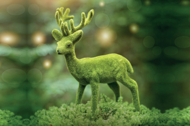 Pousse Pousse 2017, cinéma gratuit pour enfants au Jardin des Plantes