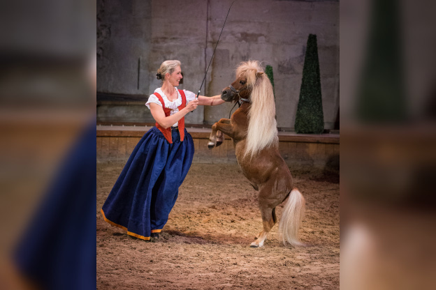 Peau d'âne au domaine de Chantilly