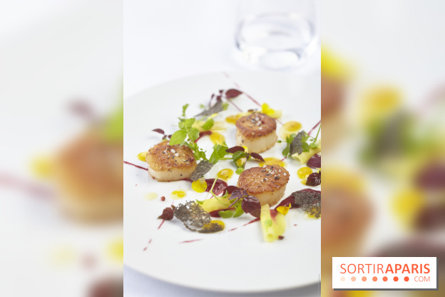 Le restaurant de la Maison de l'Amérique Latine se rénove