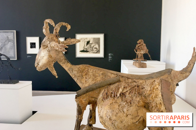 Picasso-Giacometto au Musée Picasso