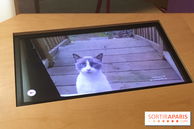 Viral, l'expo au Palais de la Découverte