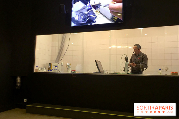 Viral, l'expo au Palais de la Découverte