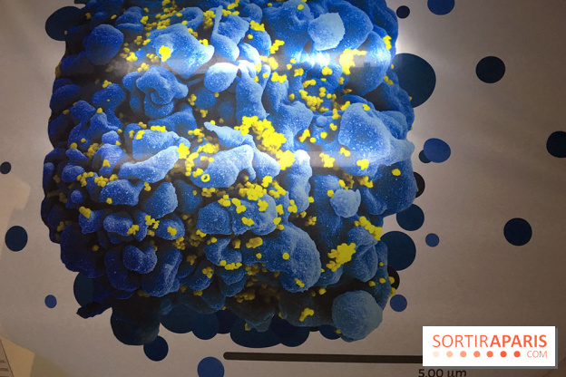 Viral, l'expo au Palais de la Découverte