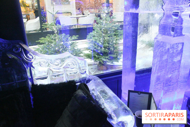 Ice lounge experience au George V