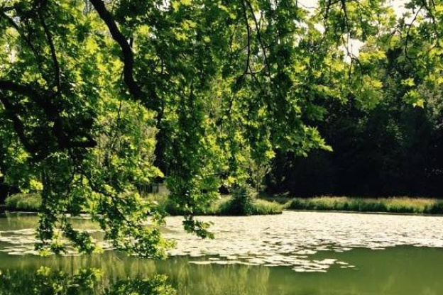 Festival des Fabriques au Parc Rousseau d'Ermenonville