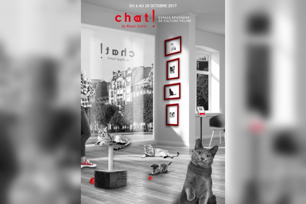 Un pop up store dédié au chat dans le Marais !