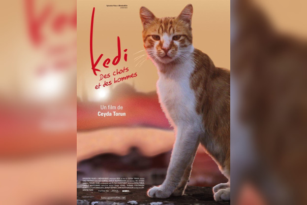Avant-première de Kedi, des chats et des hommes au Max Linder