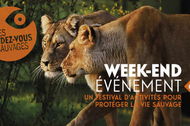 Rendez-vous sauvage au parc zoologique de paris : un week-end événement !