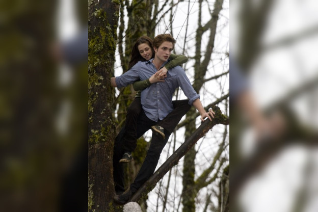 Twilight, parodie, cheeseburger