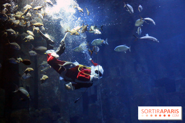 Aquarium de Paris Décembre 2016