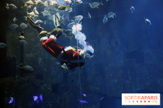 Aquarium de Paris Décembre 2016