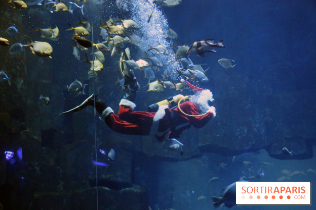 Aquarium de Paris Décembre 2016