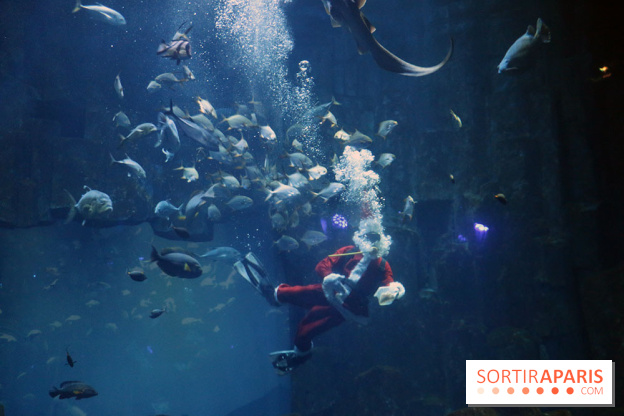 Aquarium de Paris Décembre 2016