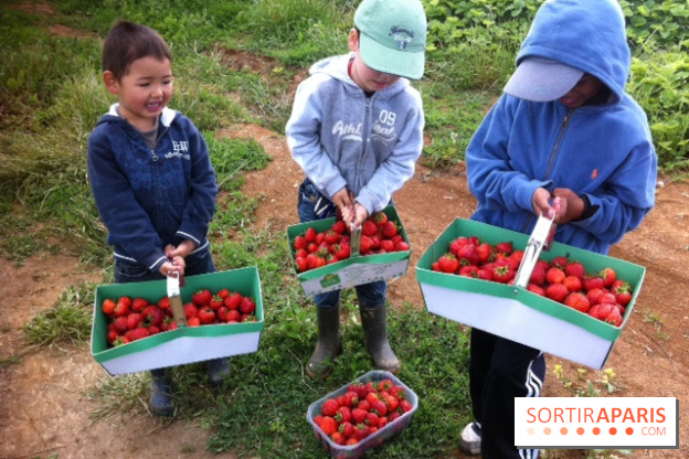 cueillettes des fraises autour de Paris