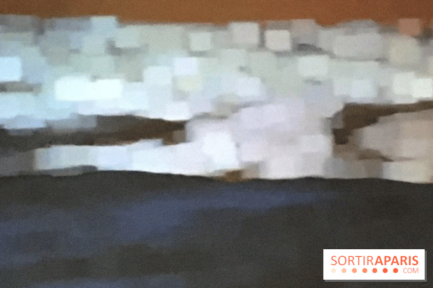 Peter Campus, l'expérience visuelle au Jeu de Paume