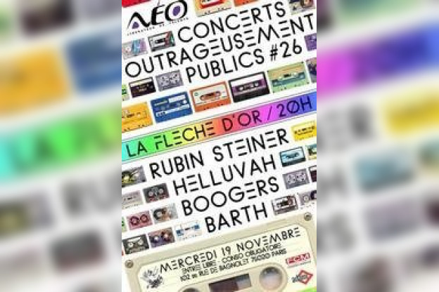Concerts, Paris, Concerts outrageusement publics, Fleche d'Or, Rubin Steiner
