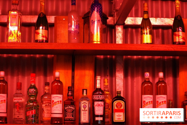 La Station Suzependue à Paris